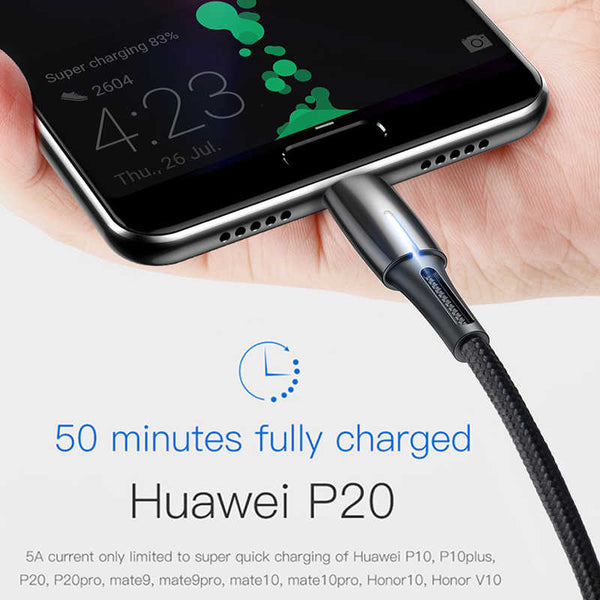 Baseus 5A USB Type C Cable