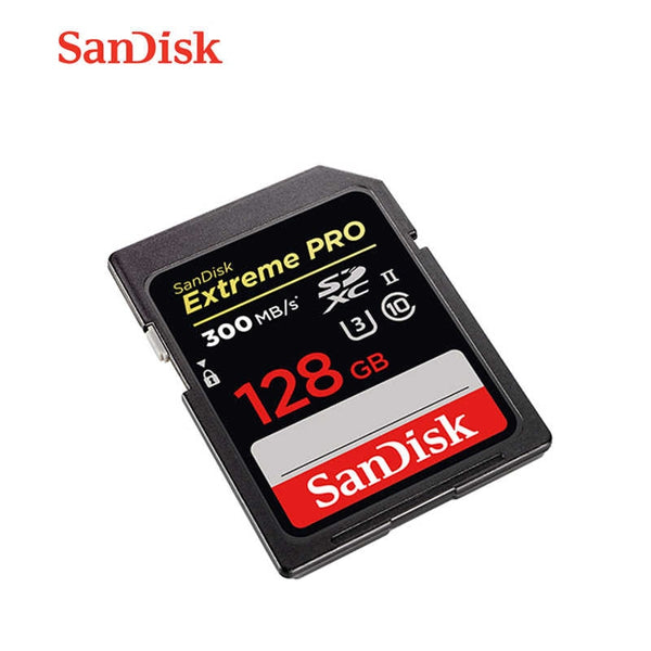 SanDisk SD Card