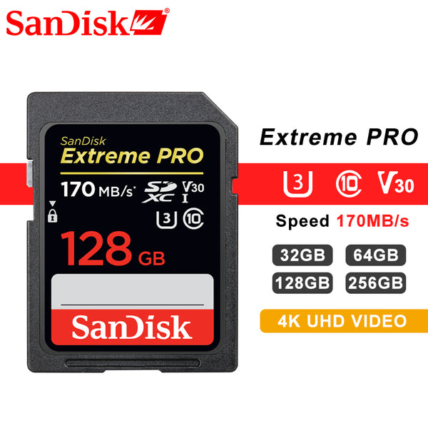 SanDisk SD Card