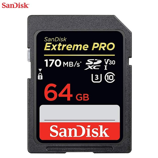 SanDisk SD Card