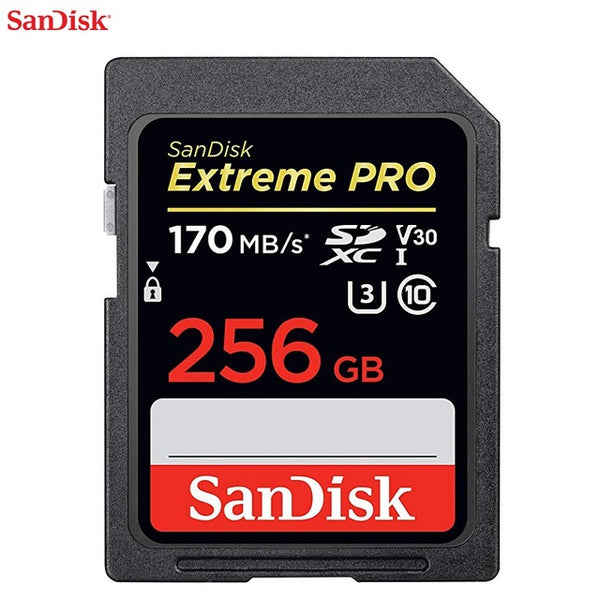 SanDisk SD Card