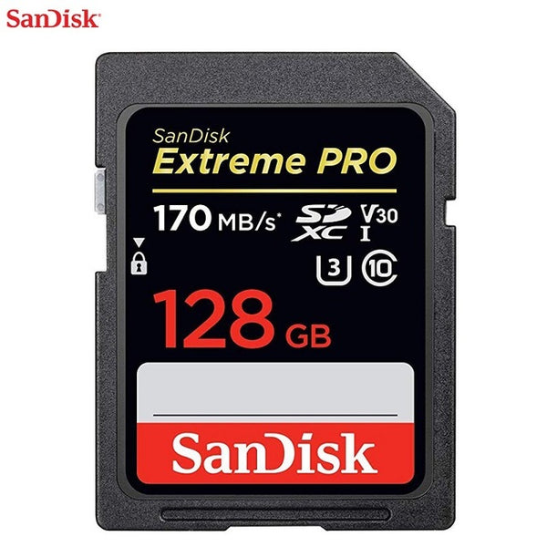 SanDisk SD Card