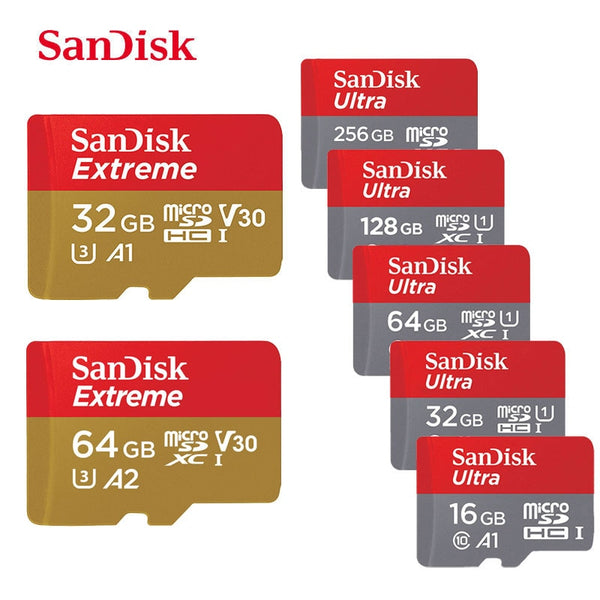 SanDisk Memory Card